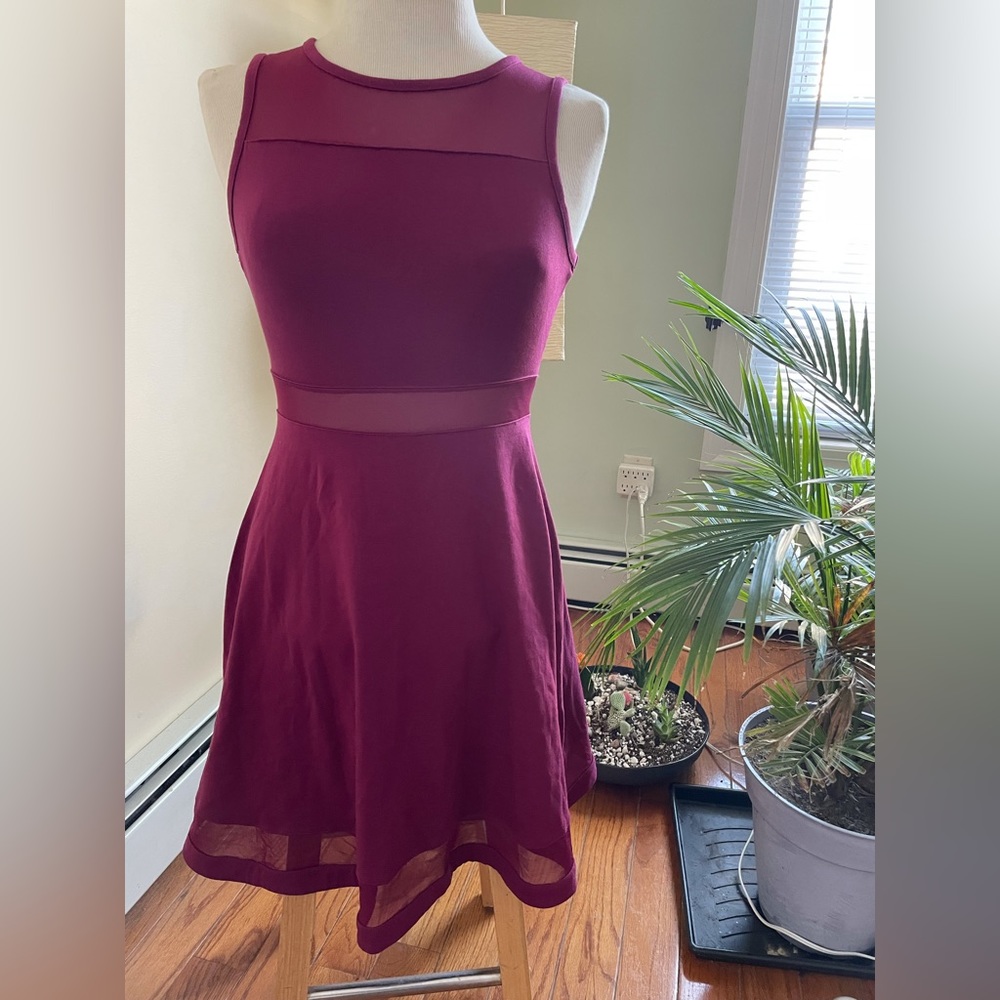 Express Dark Red Dress